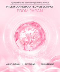 Moisturizing Lip Mask 8g